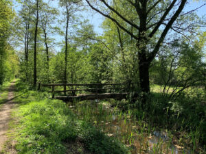 Natuurgebieden in de buurt van Hotel Handelia.