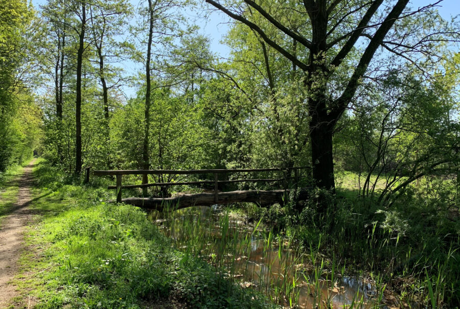 Natuurgebieden in de buurt van Hotel Handelia.